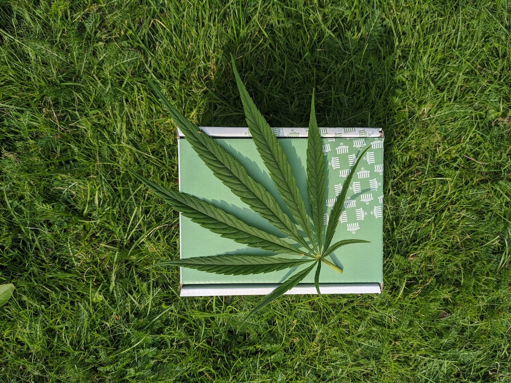 Cannabidiol-CBD-what-we-know-and-what-we-don-t Oyu Cosmetics