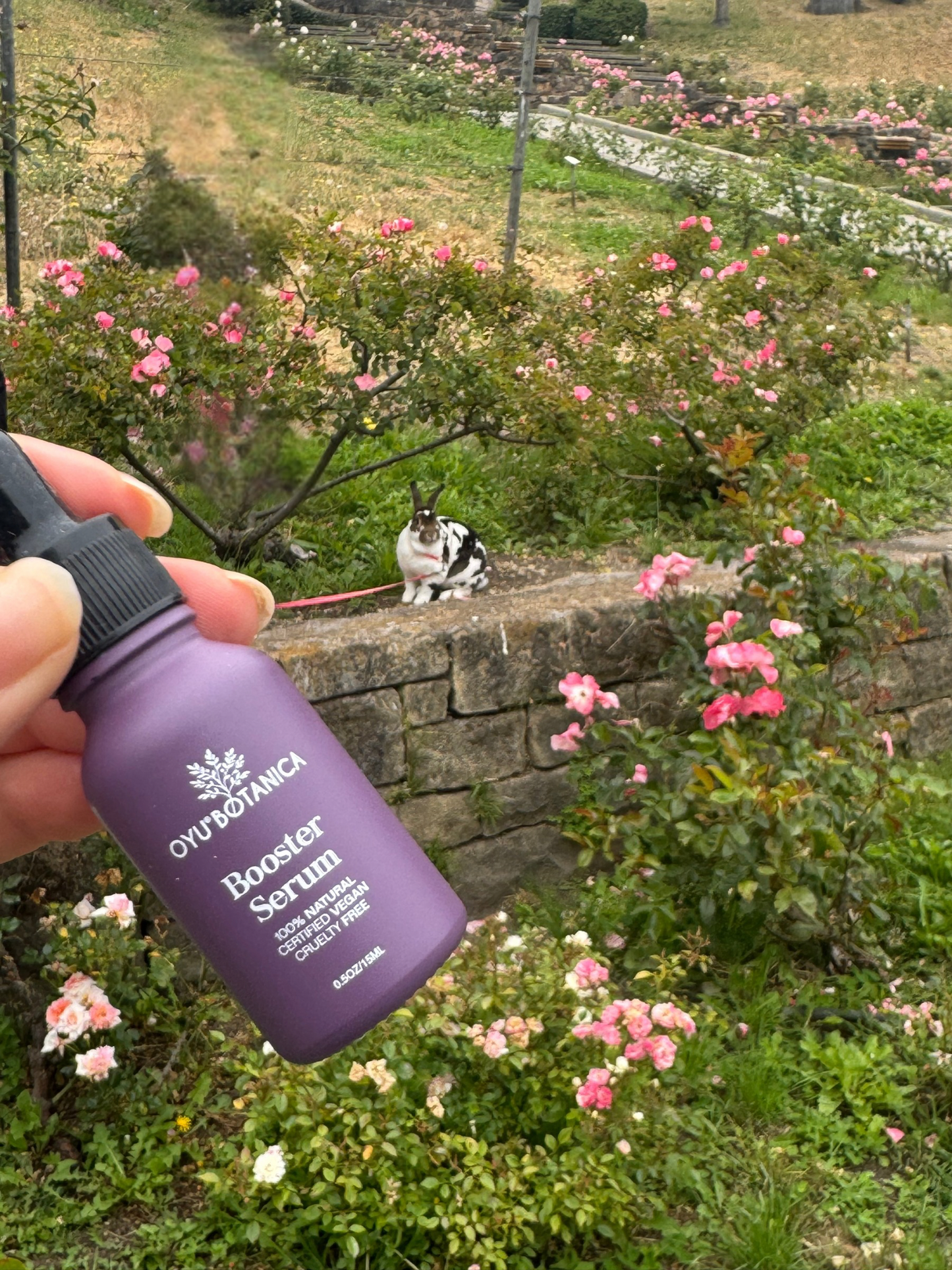 Sensitive Skin Booster Serum